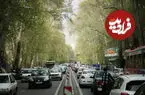 عکس| سفر به تهران قدیم؛ «خیابان ولیعصر» و خودروهای کلاسیک پارک شده در آن؛ سال 1338