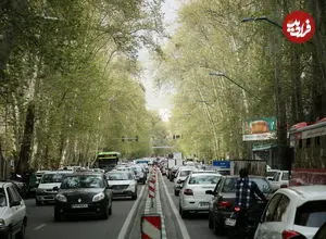 عکس| سفر به تهران قدیم؛ «خیابان ولیعصر» و خودروهای کلاسیک پارک شده در آن؛ سال 1338