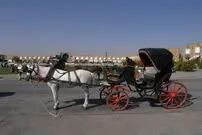(ویدئو) درشکه سواری در اصفهان با اسب‌های خسته‌ای که گاهی ۱۵ ساعت سرپا هستند