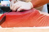 (ویدئو) قطعه قطعه کردن ماهی تن غول‌پیکر 

