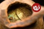 جستجوگران «کوزۀ شکستۀ گنج» را در جنگل پیدا کردند