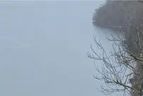 کشف یک موجود عجیب در دریاچه‌!