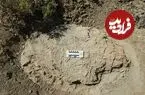 کشف «ردپای 90 سانتیمتری» شکارچی غول‌پیکر ماقبل تاریخ