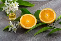 هر آنچه باید درباره‌ی بهار نارنج و خواص آن بدانید
