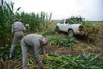 تصاویر/ محیط‌بانان مشغول کارند!