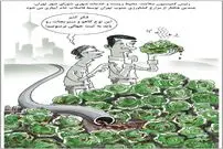 کاریکاتور/ آبیاری سبزیجات با فاضلاب خام!