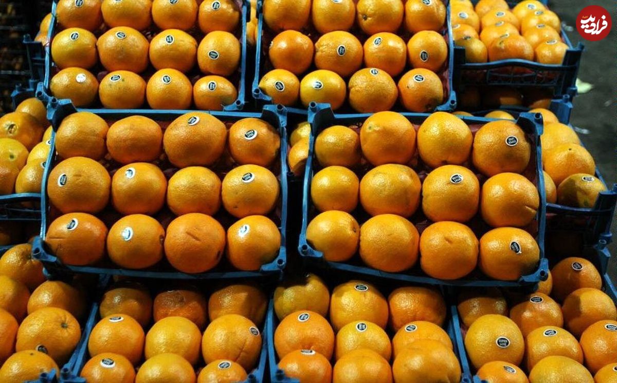چرا پرتقال‌های میدان میوه و تره بار بوی تریاک می‌داد؟