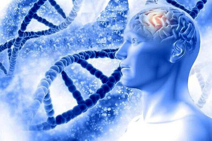 ۱۳ ژن جدید در بروز آلزایمر نقش دارند