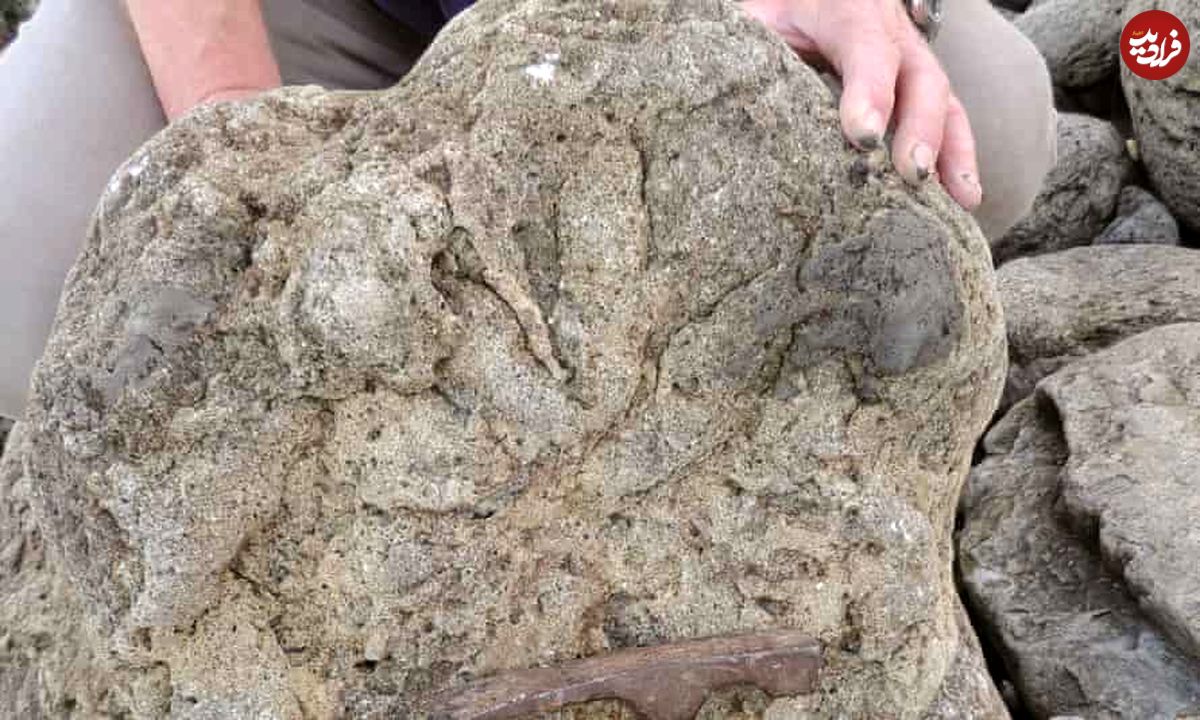 کشف ردپای آخرین دایناسور‌های بریتانیا