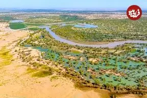 چین آن‌قدر در بیابان تکله‌مکان درخت کاشته که این منطقه به مخزن کربن تبدیل شده است