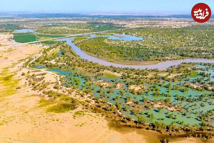 چین آن‌قدر در بیابان تکله‌مکان درخت کاشته که این منطقه به مخزن کربن تبدیل شده است