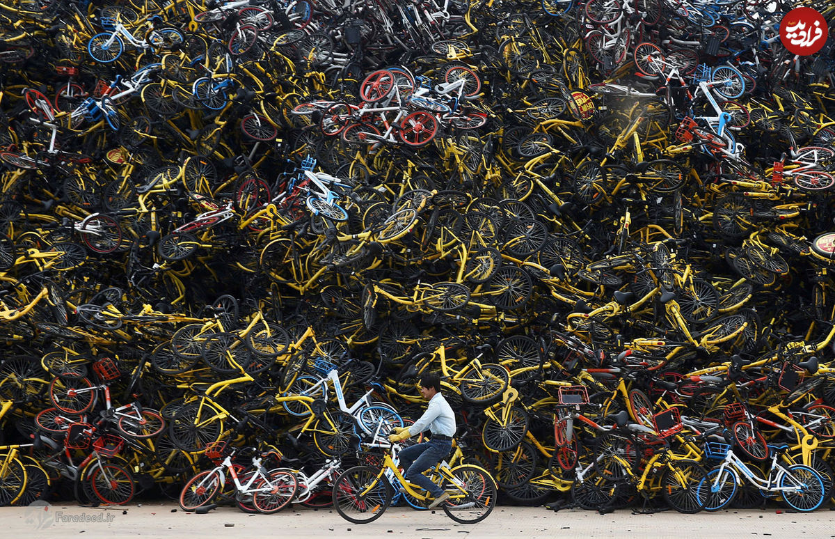 تصاویر/ چین غرق در دوچرخه