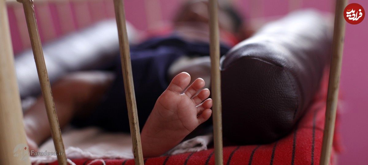 ویدیو/ تولد نوزاد چهار پا در هندوستان