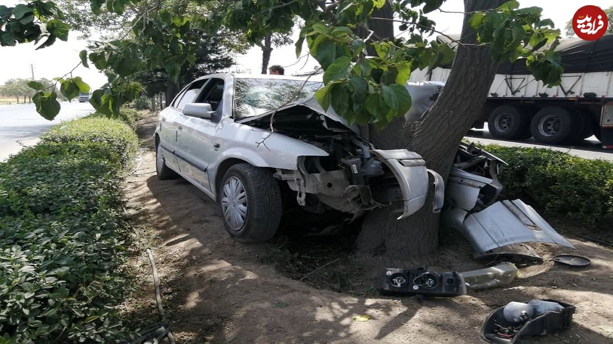 (ویدئو) تصادف عجیب و غریب یک خودرو با درخت