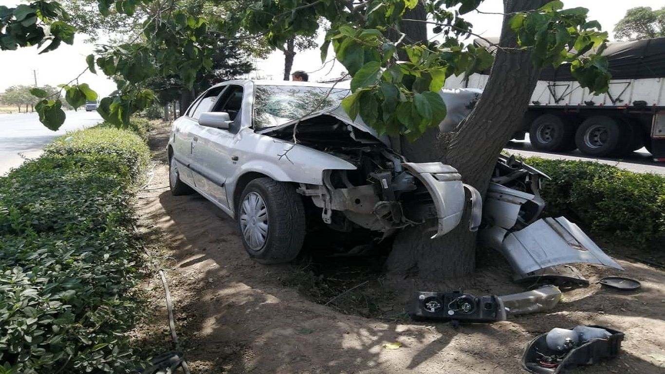 (ویدئو) تصادف عجیب و غریب یک خودرو با درخت