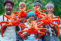 ببینید؛ غذای روستایی در هند؛ پخت غذا با شاه خرچنگ 