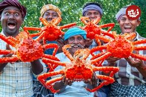 ببینید؛ غذای روستایی در هند؛ پخت غذا با شاه خرچنگ 