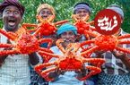 ببینید؛ غذای روستایی در هند؛ پخت غذا با شاه خرچنگ 