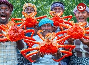 ببینید؛ غذای روستایی در هند؛ پخت غذا با شاه خرچنگ 