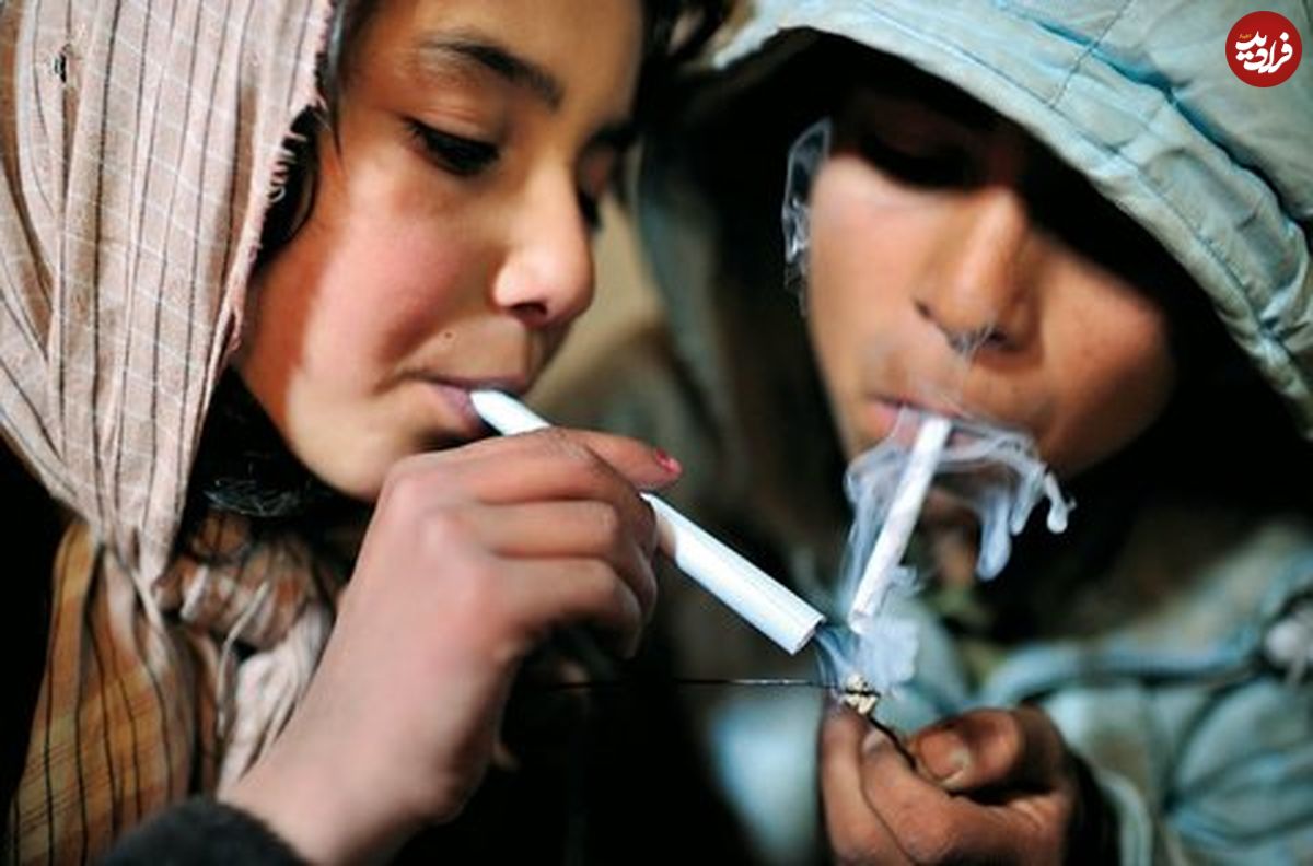نام مواد را بلدند نام میوهها را نه!