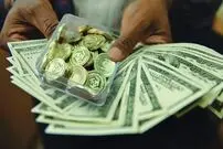 رشد قیمت دلار و سکه متوقف شد