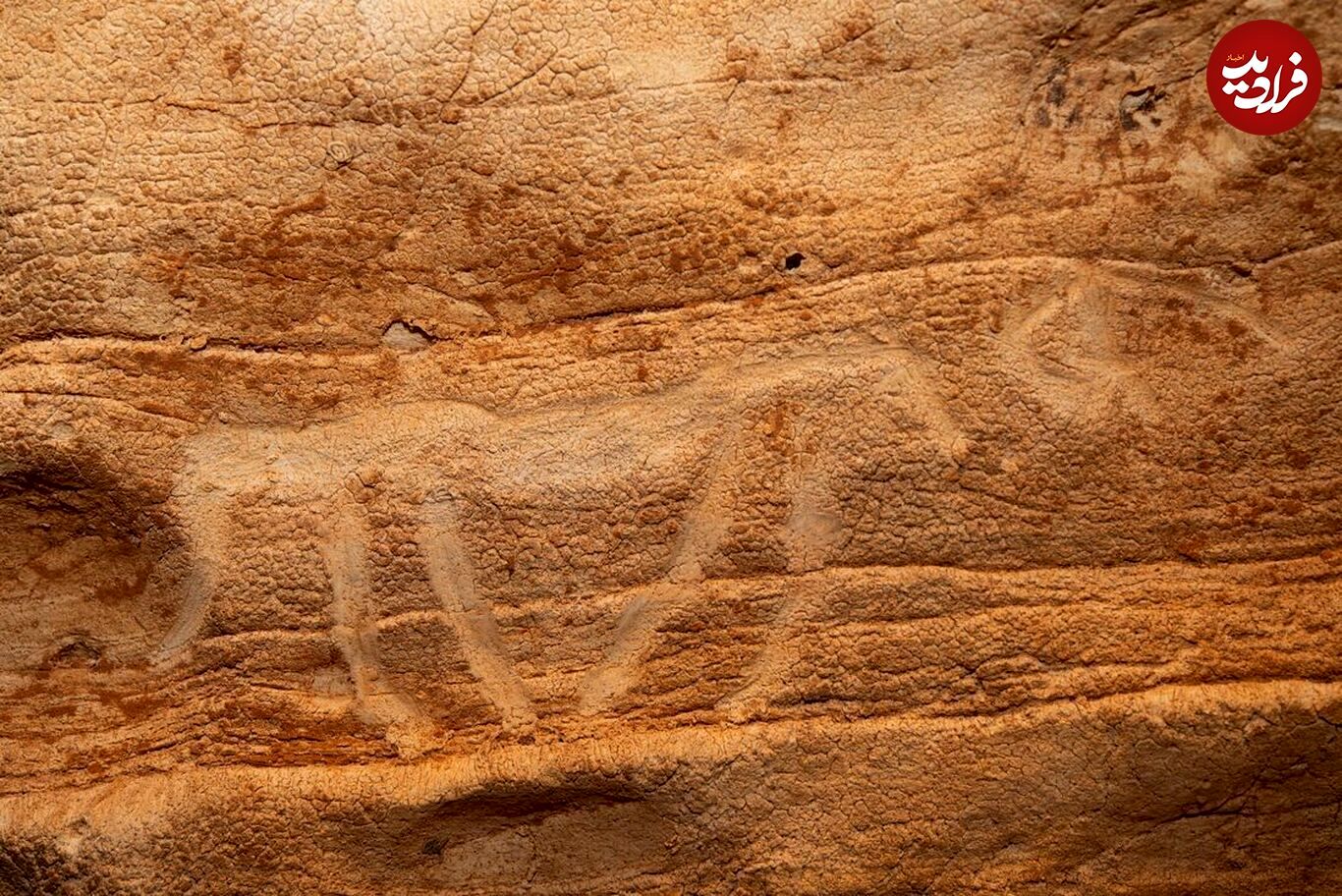 کشف غارنگاره‌های عجیب ۸ هزار ساله در اسپانیا