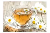 آشنایی با انواع گیاهان دارویی و خواص آن ها برای سلامتی