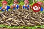 ببینید| غذای روستایی در بنگلادش؛ پخت یک غذای سنتی با مارماهی در طبیعت