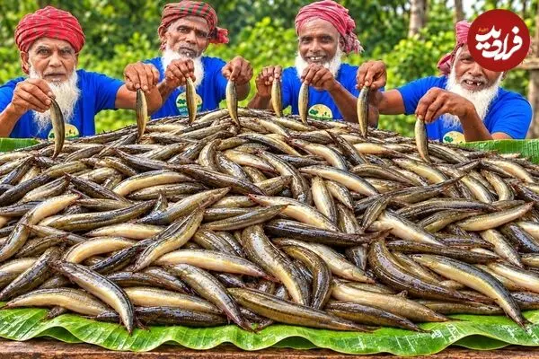 ببینید| غذای روستایی در بنگلادش؛ پخت یک غذای سنتی با مارماهی در طبیعت