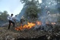فصل سوختن پرندگان و حیوانات