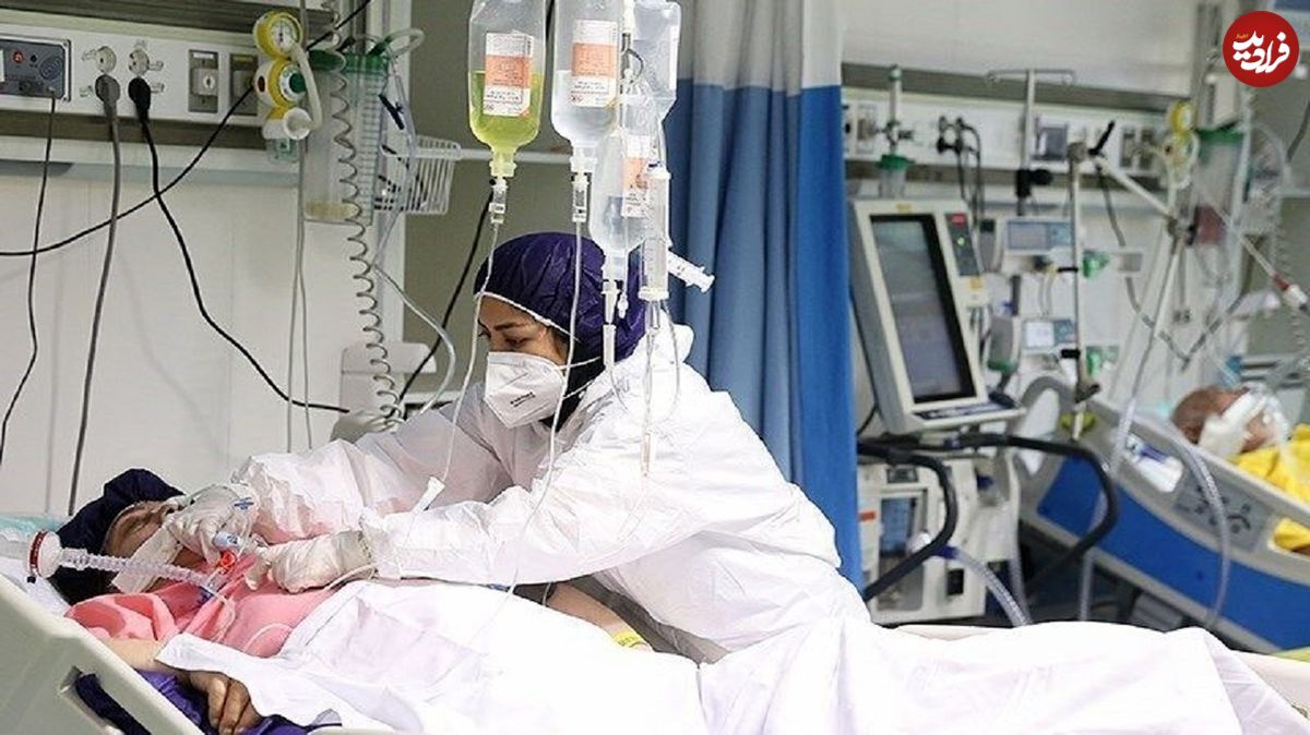 پیک هفتم کرونا از کدام استان شروع شد؟!