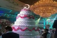 تصاویر/ گران‌ترین عروسی دنیا