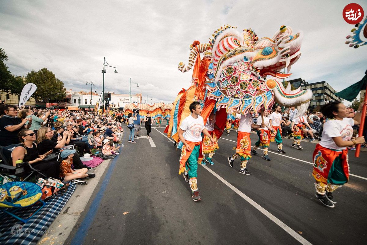 تصاویر/طویل‌ترین اژد‌های چینی در استرالیا
