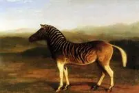 (تصاویر) شکار بی‌رویه این حیوانات را از صفحه روزگار پاک کرد!