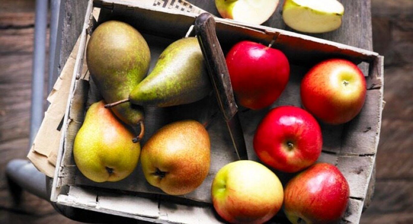 با میوه‌های چاق کننده تابستانی آشنا شوید