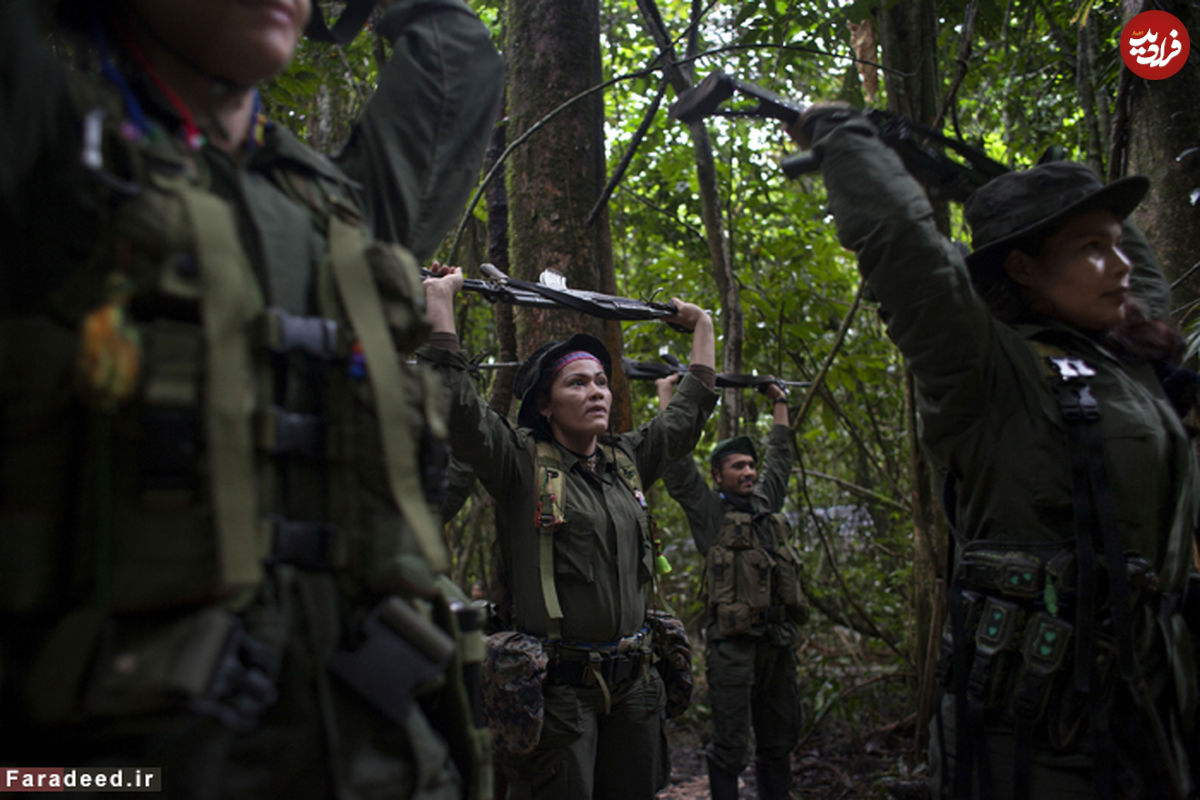 تصاویر/ زنان و مردان چریک در جنگل‌های کلمبیا