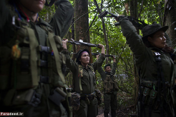 تصاویر/ زنان و مردان چریک در جنگل‌های کلمبیا