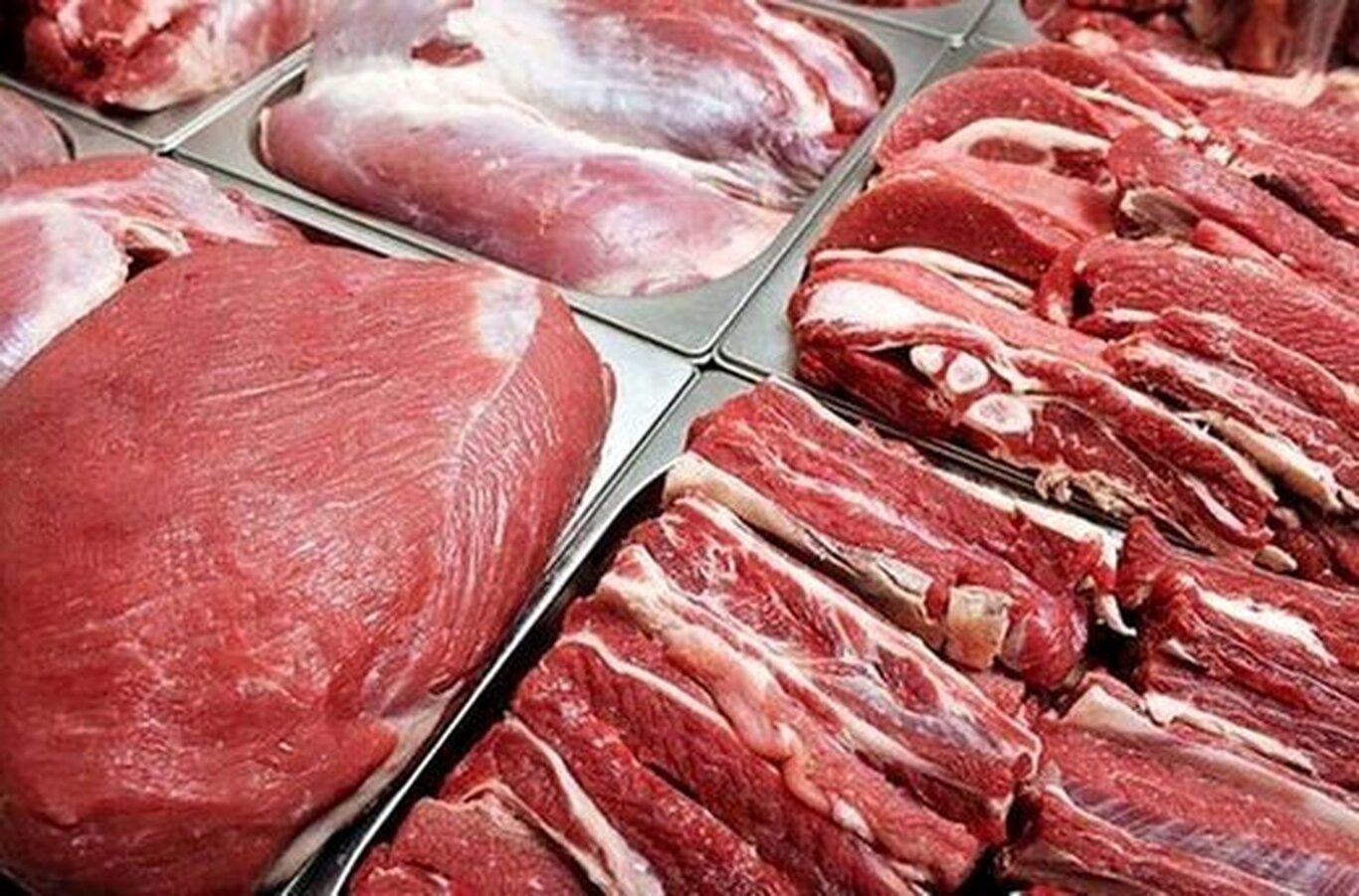 منتظر ریزش قیمت گوشت قرمز باشیم؟