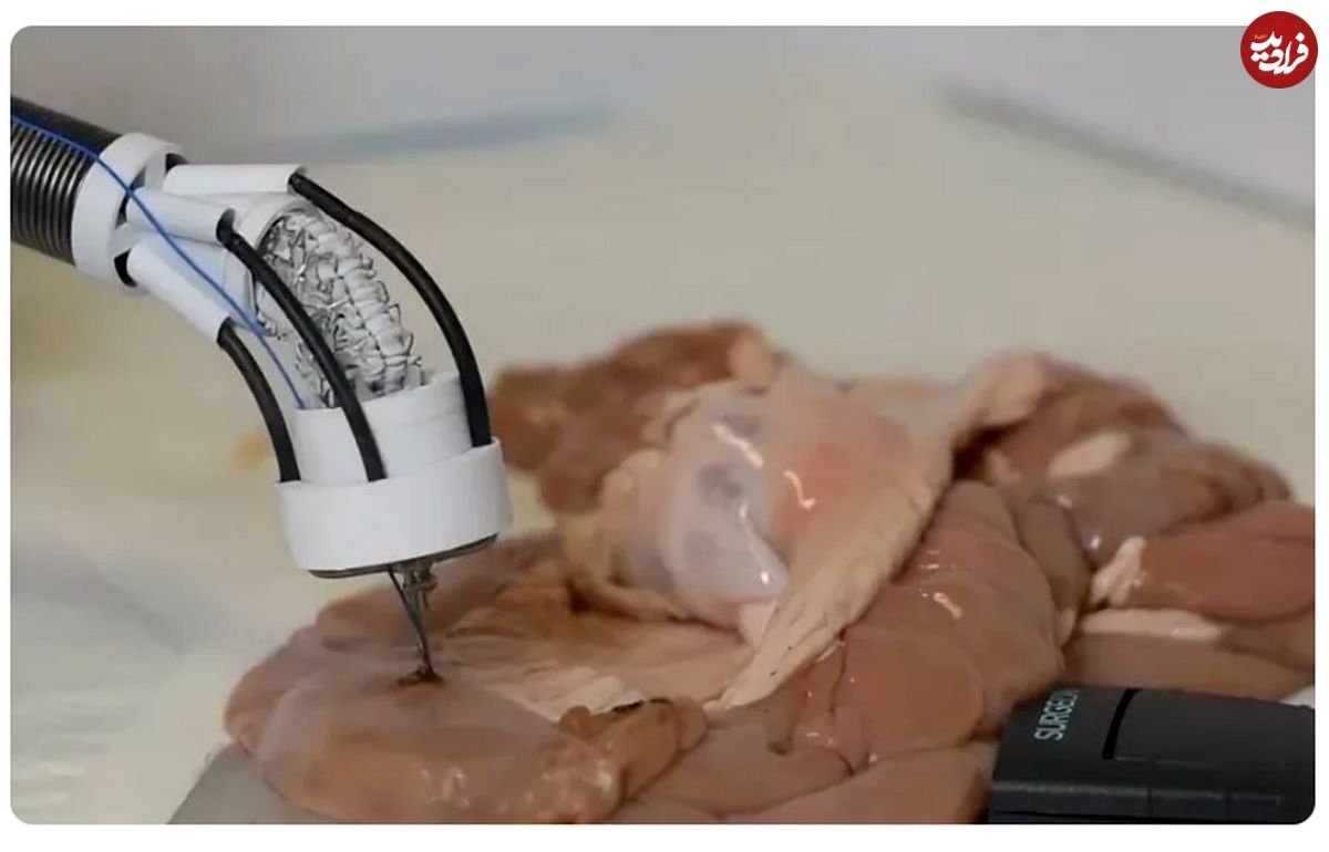 (ویدئو) ساخت چاپگر سه‌بعدی برای ترمیم بافت‌های آسیب‌دیده