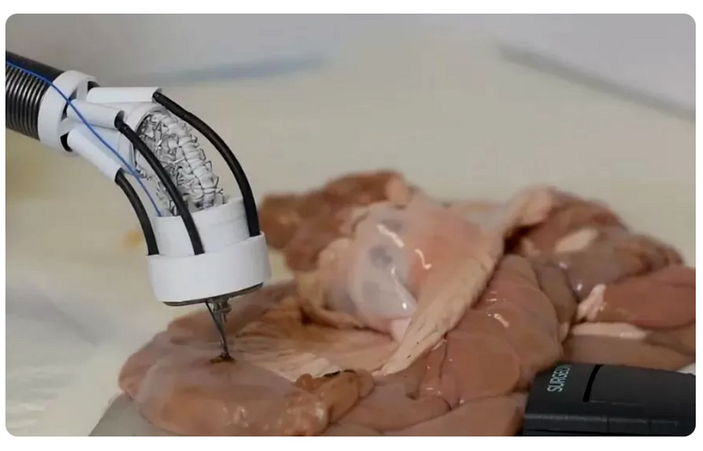 (ویدئو) ساخت چاپگر سه‌بعدی برای ترمیم بافت‌های آسیب‌دیده