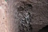 تصاویر/ کشف گور دسته‌جمعی در تبریز