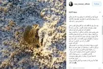 کنایه رضا کیانیان به یارانه‌ 45 هزار تومانی