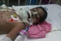 حمله گرگ به کودک 3 ساله در کرمانشاه