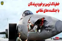 (ویدئو) برخورد پرندگان با هواپیماهای نظامی چگونه سبب سقوط آن ها می شود؟