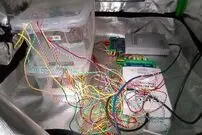 (عکس) کامپیوتر زنده؛ استفاده از قارچ به جای رم و پردازنده
