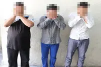 سارقان آشنا داروندار پیرزن میهمان نواز را بردند