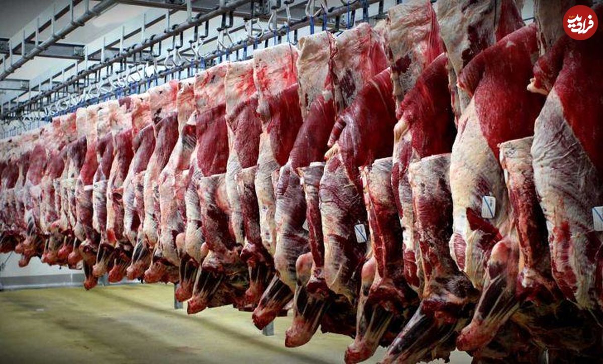 چرا گوشت گوسفندی انقدر گران شد؟