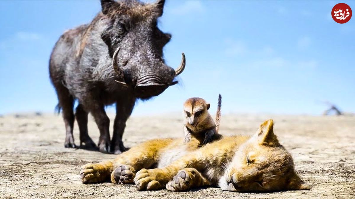 شکست رکوردهای سینمایی در 2019
