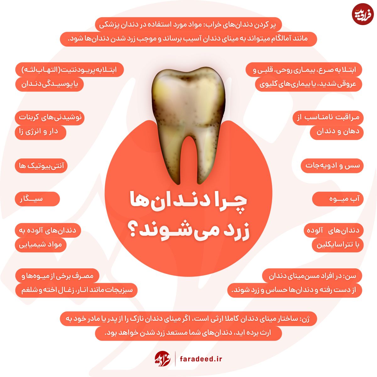 اینفوگرافی/ چرا دندانها زرد میشوند؟