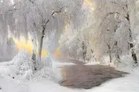 (اینفوگرافیک) چرا زمستان سخت در اروپا شکل نگرفت؟